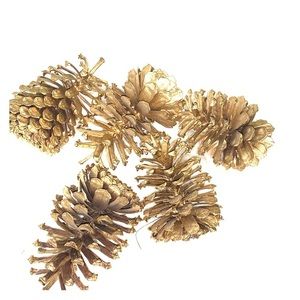 Extra large painted pine cones